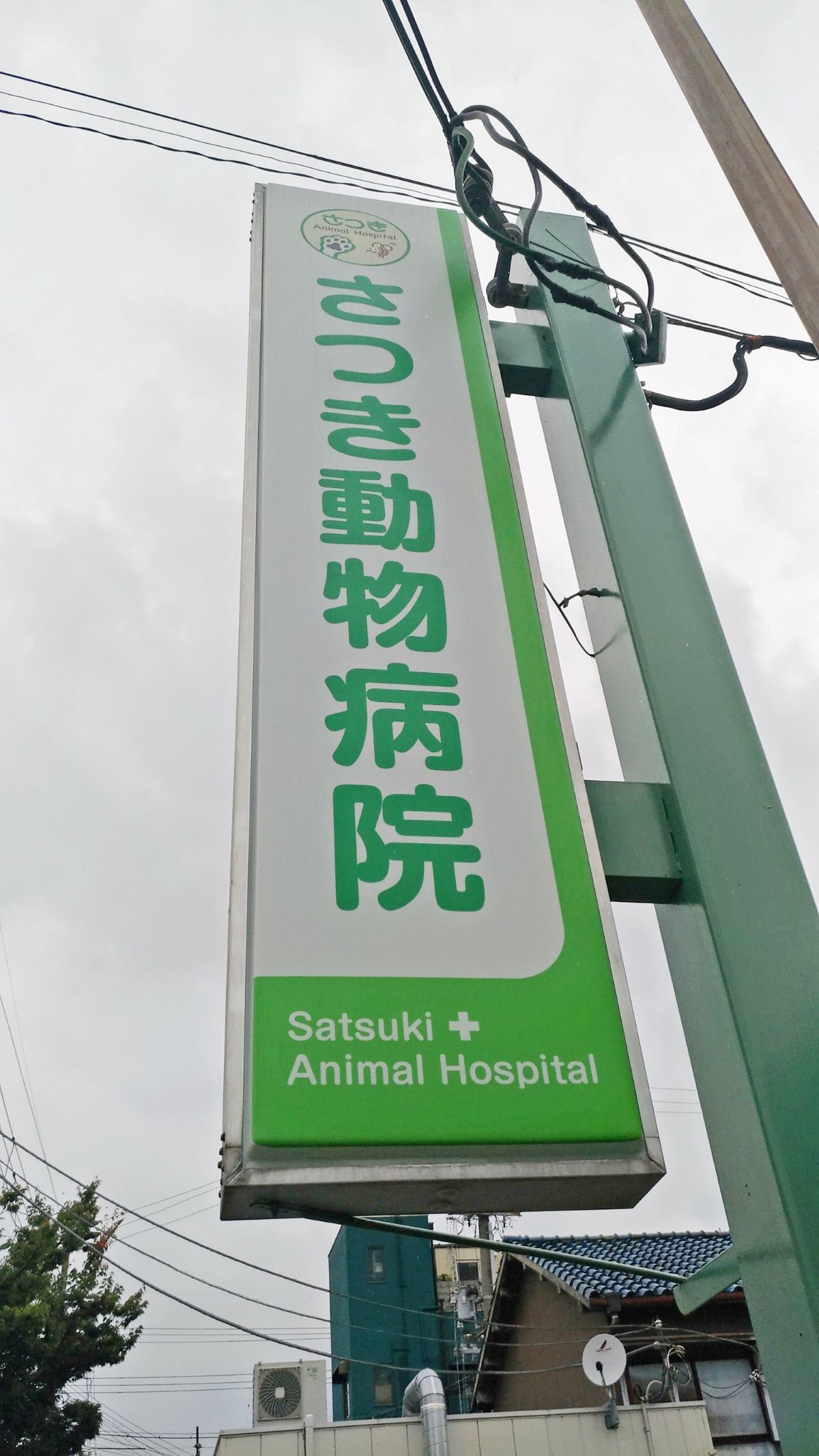 さつき動物病院